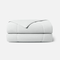 Arctic White